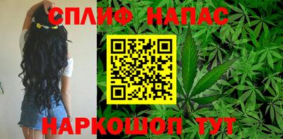 шишки Краснознаменск