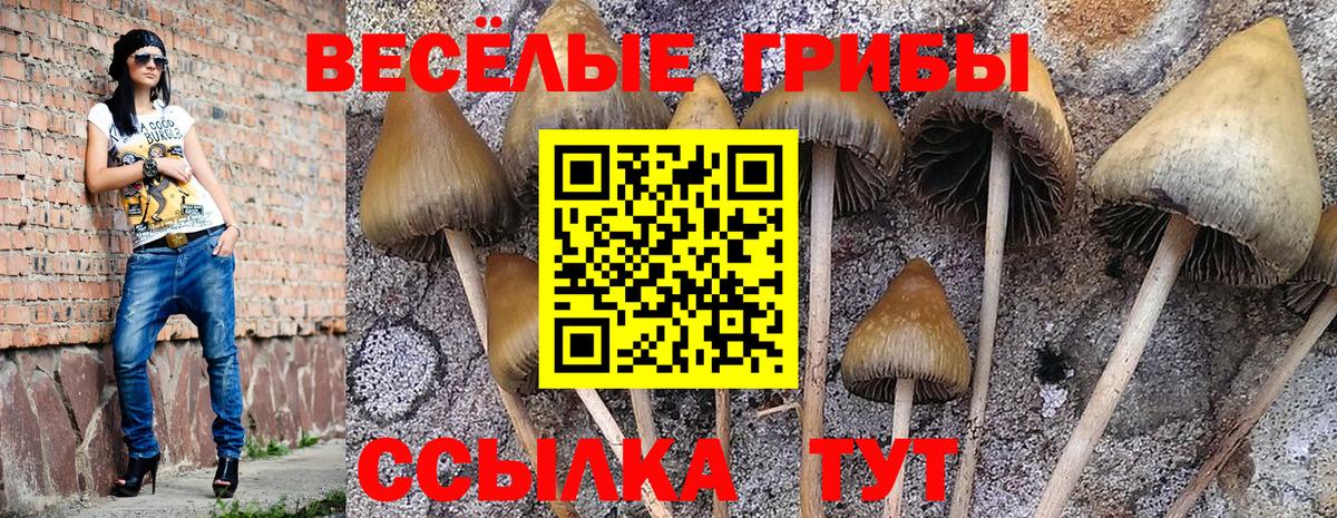 Галлюциногенные грибы Magic Shrooms Комсомольск-на-Амуре